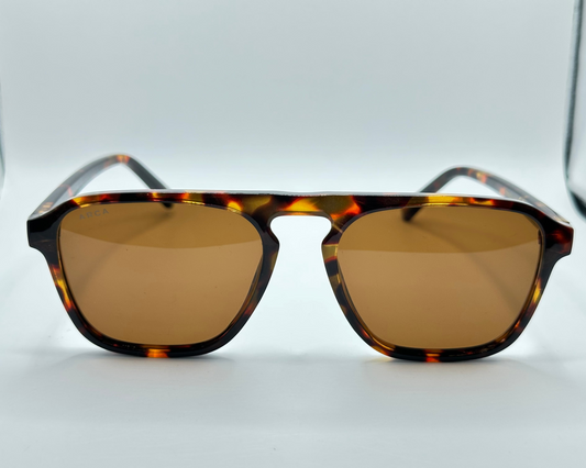 Suncity new Print
